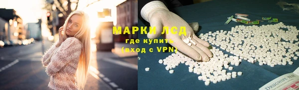 стаф Надым
