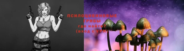 гашик Михайловск