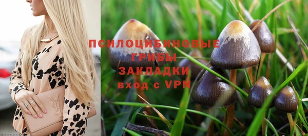 spice Михайловка