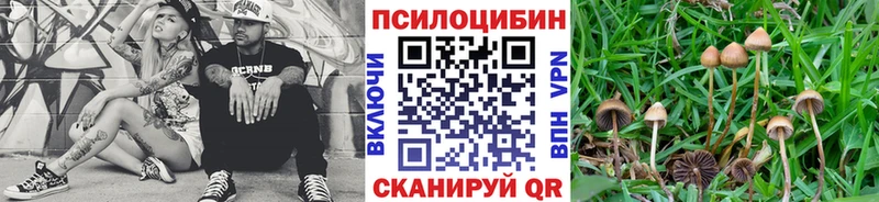 Галлюциногенные грибы GOLDEN TEACHER  закладка  Астрахань 