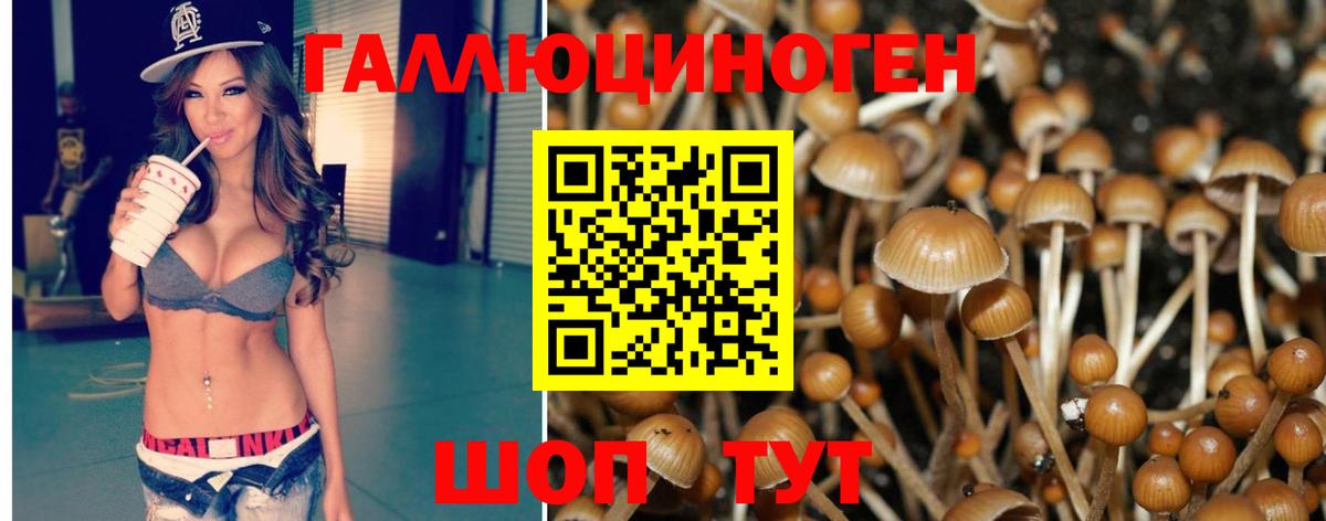 Псилоцибиновые грибы Magic Shrooms Астрахань