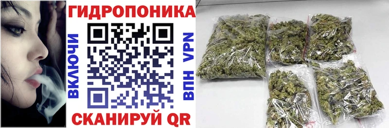Бошки Шишки VHQ  Астрахань 